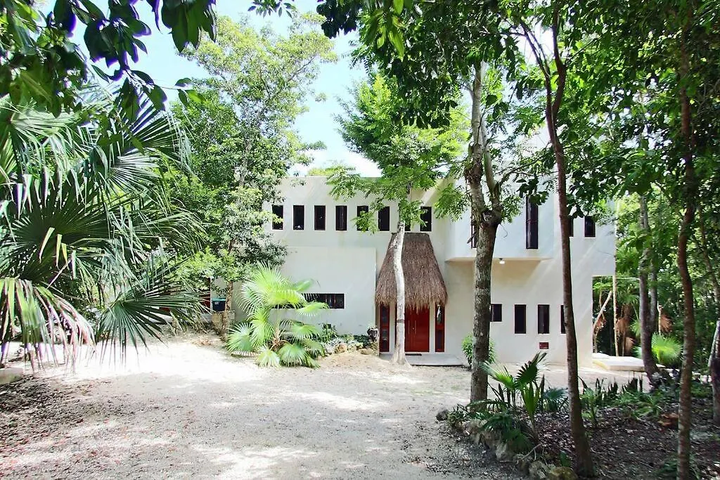 Unahil Tucha Buenavista  Buenavista (Quintana Roo)